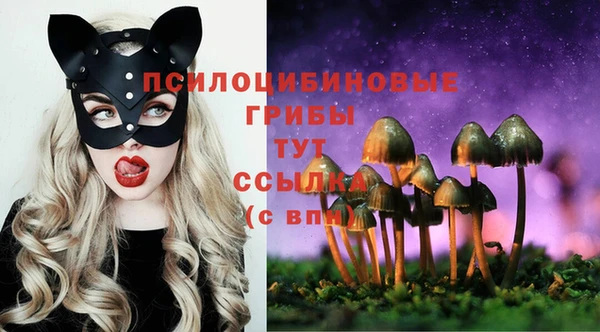 каннабис Алзамай