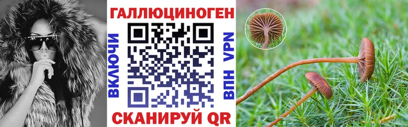 ссылка на мегу ссылки Нижний Тагил Галлюциногенные грибы прущие грибы
