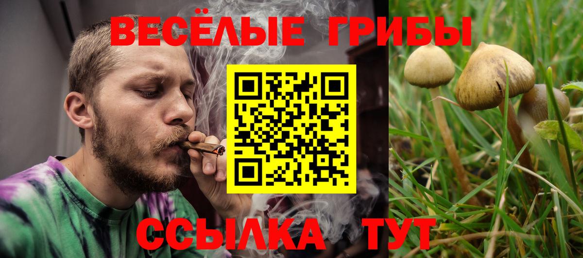 что такое   Галлюциногенные грибы GOLDEN TEACHER  Вход с VPN  Нижний Тагил 